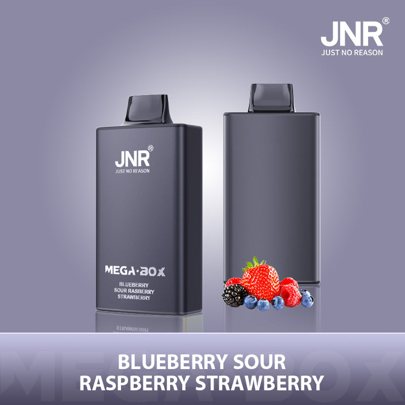 JNR Mega Box 25000 Puffs Prefilled Vape Pod Kit - Box of 10