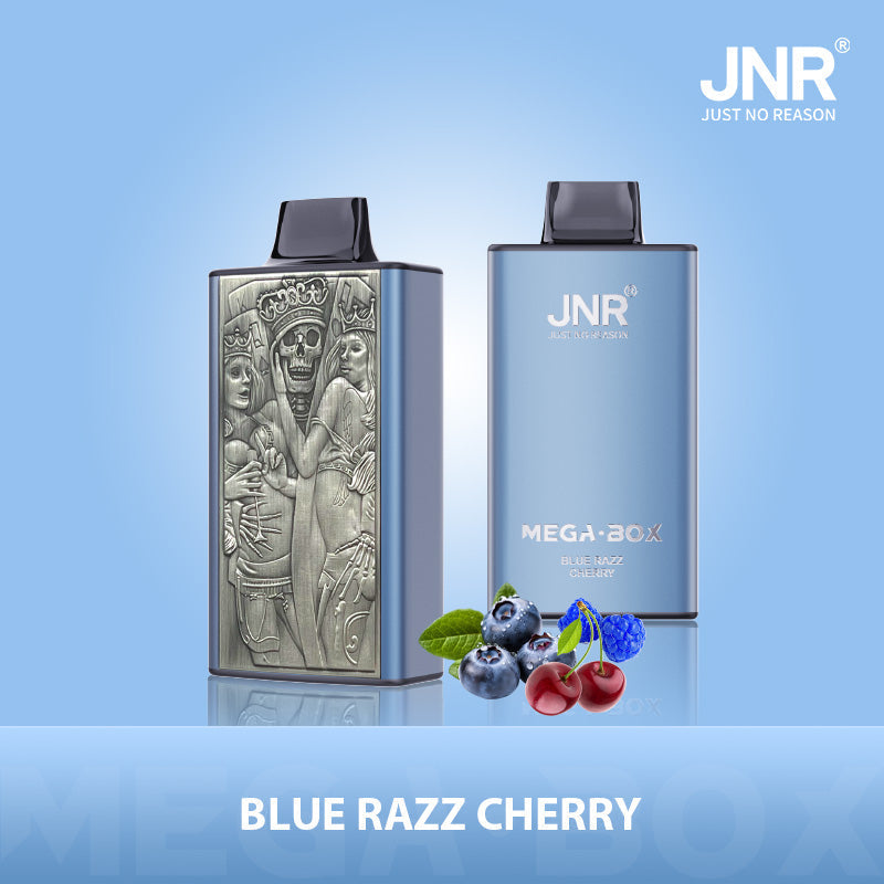 JNR Mega Box 25000 Puffs Prefilled Vape Pod Kit - Box of 10
