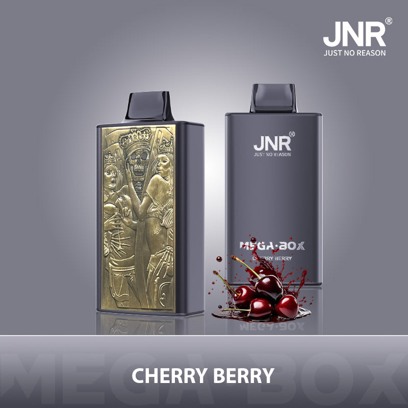 JNR Mega Box 25000 Puffs Prefilled Vape Pod Kit - Box of 10