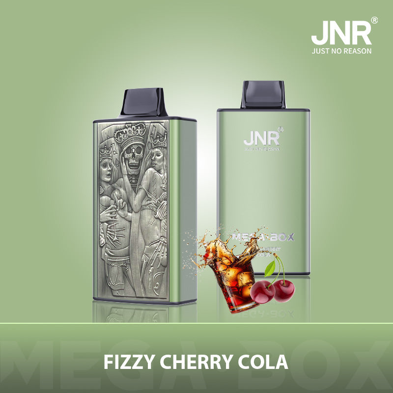 JNR Mega Box 25000 Puffs Prefilled Vape Pod Kit - Box of 10