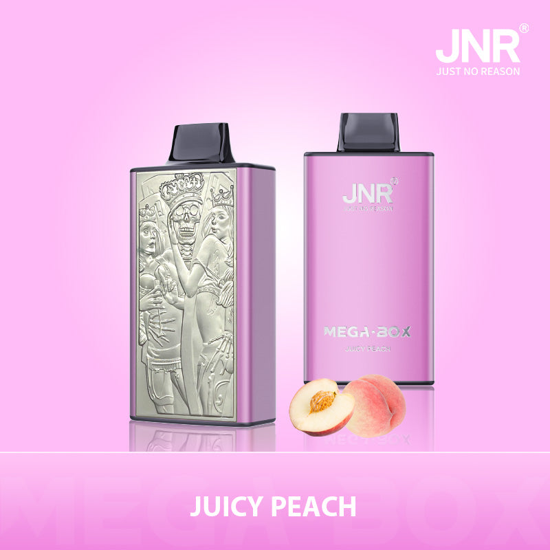 JNR Mega Box 25000 Puffs Prefilled Vape Pod Kit - Box of 10