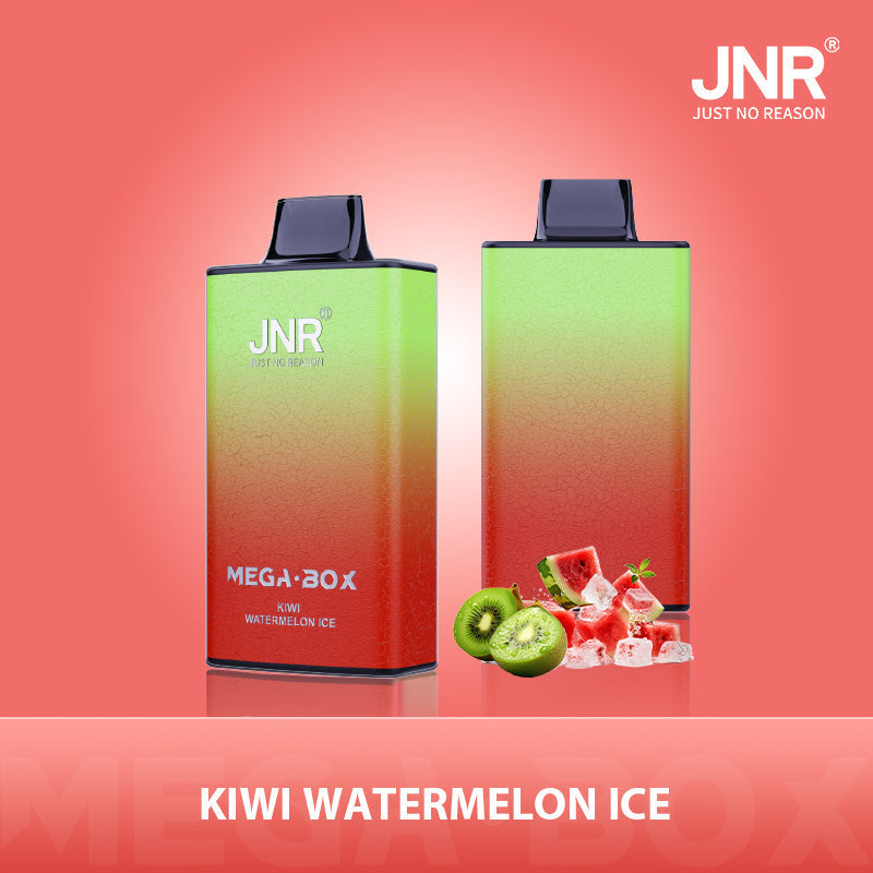 JNR Mega Box 25000 Puffs Prefilled Vape Pod Kit - Box of 10