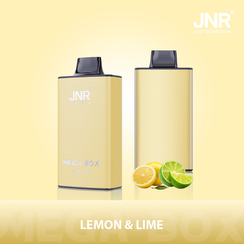 JNR Mega Box 25000 Puffs Prefilled Vape Pod Kit - Box of 10