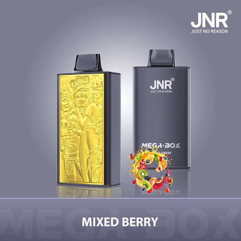 JNR Mega Box 25000 Puffs Prefilled Vape Pod Kit - Box of 10