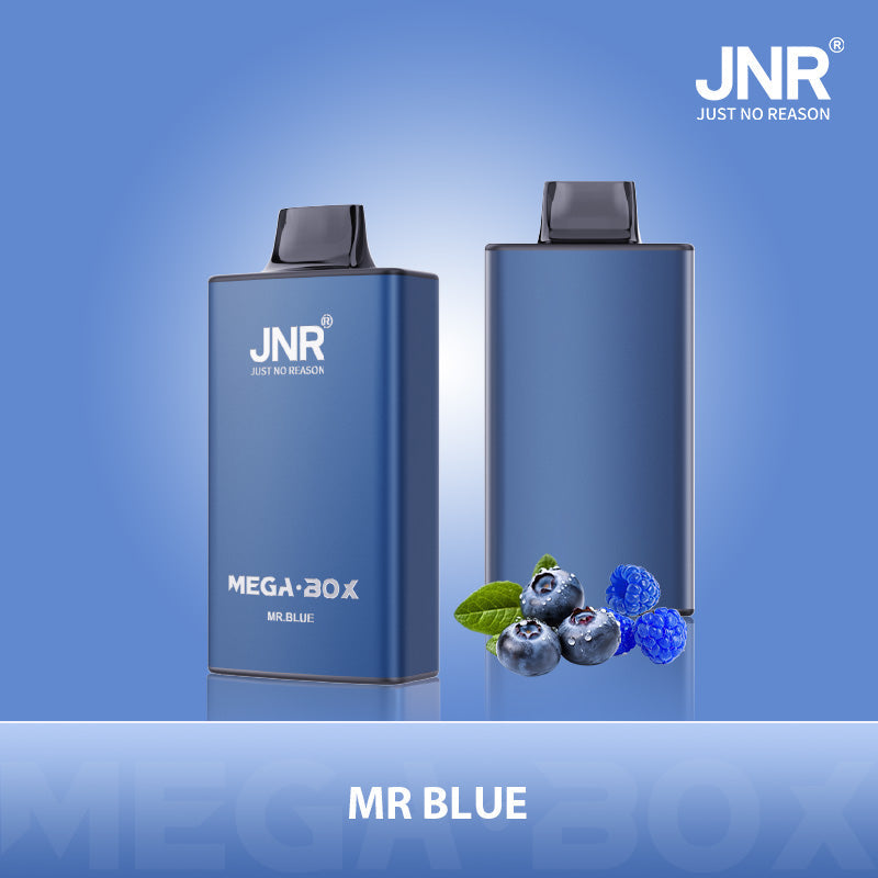 JNR Mega Box 25000 Puffs Prefilled Vape Pod Kit - Box of 10