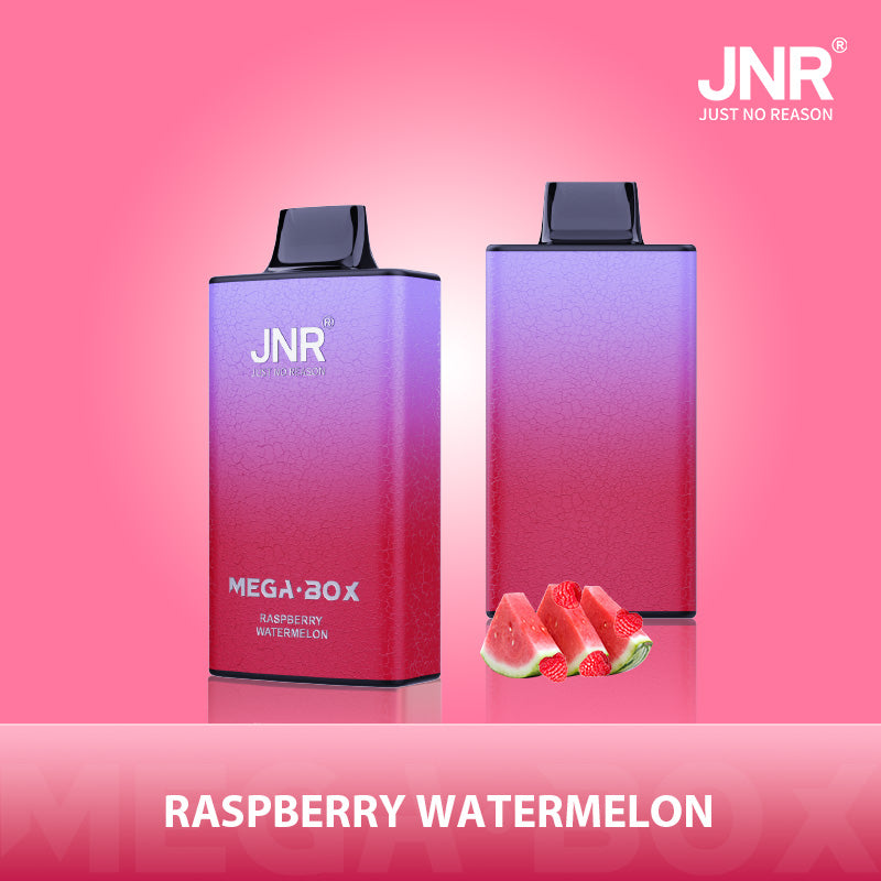 JNR Mega Box 25000 Puffs Prefilled Vape Pod Kit - Box of 10