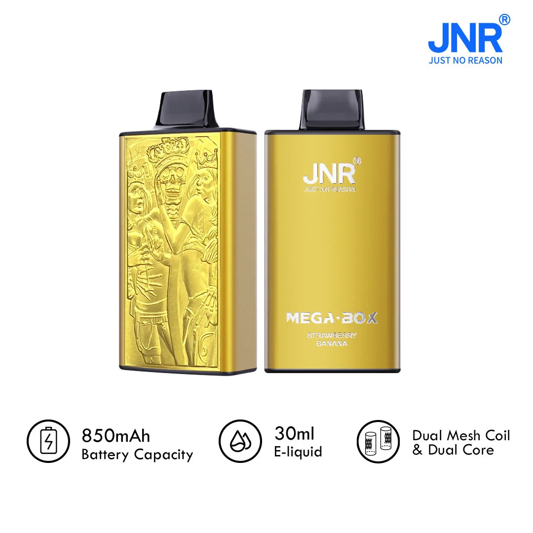 JNR Mega Box 25000 Puffs Prefilled Vape Pod Kit - Box of 10