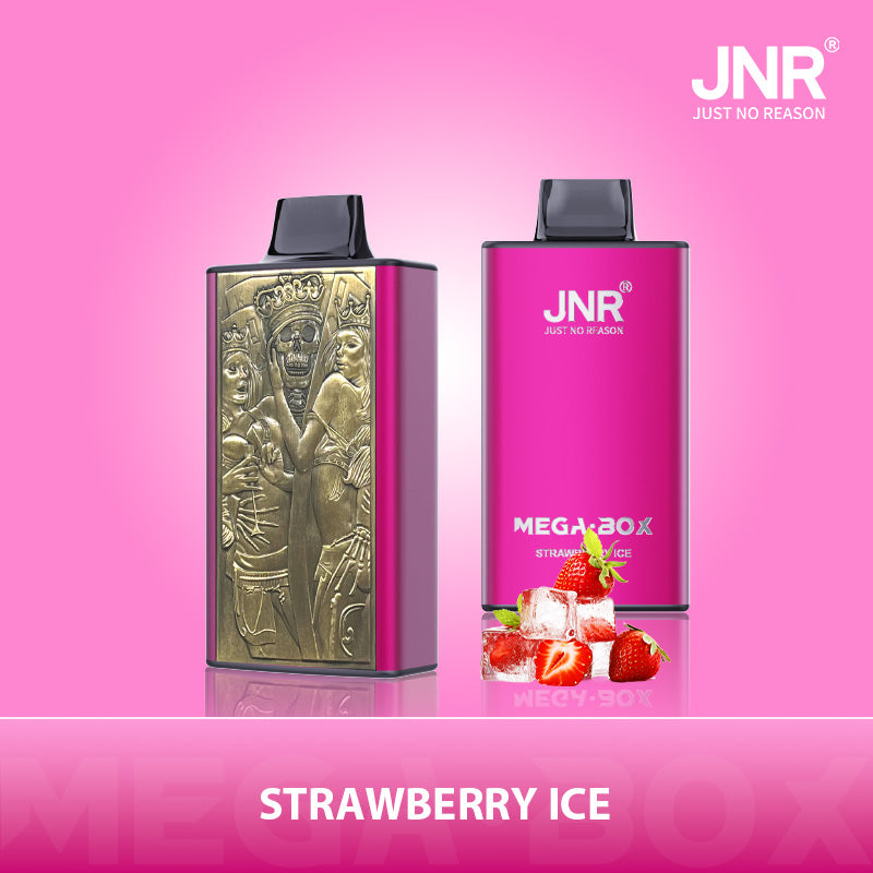 JNR Mega Box 25000 Puffs Prefilled Vape Pod Kit - Box of 10