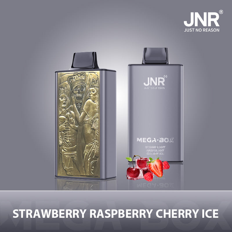 JNR Mega Box 25000 Puffs Prefilled Vape Pod Kit - Box of 10