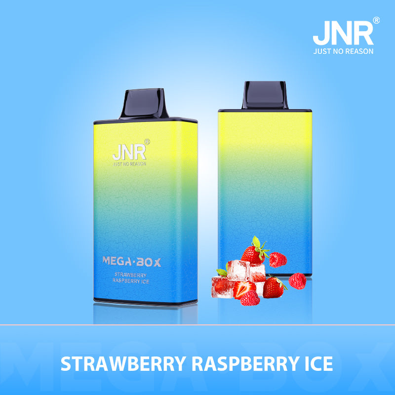 JNR Mega Box 25000 Puffs Prefilled Vape Pod Kit - Box of 10