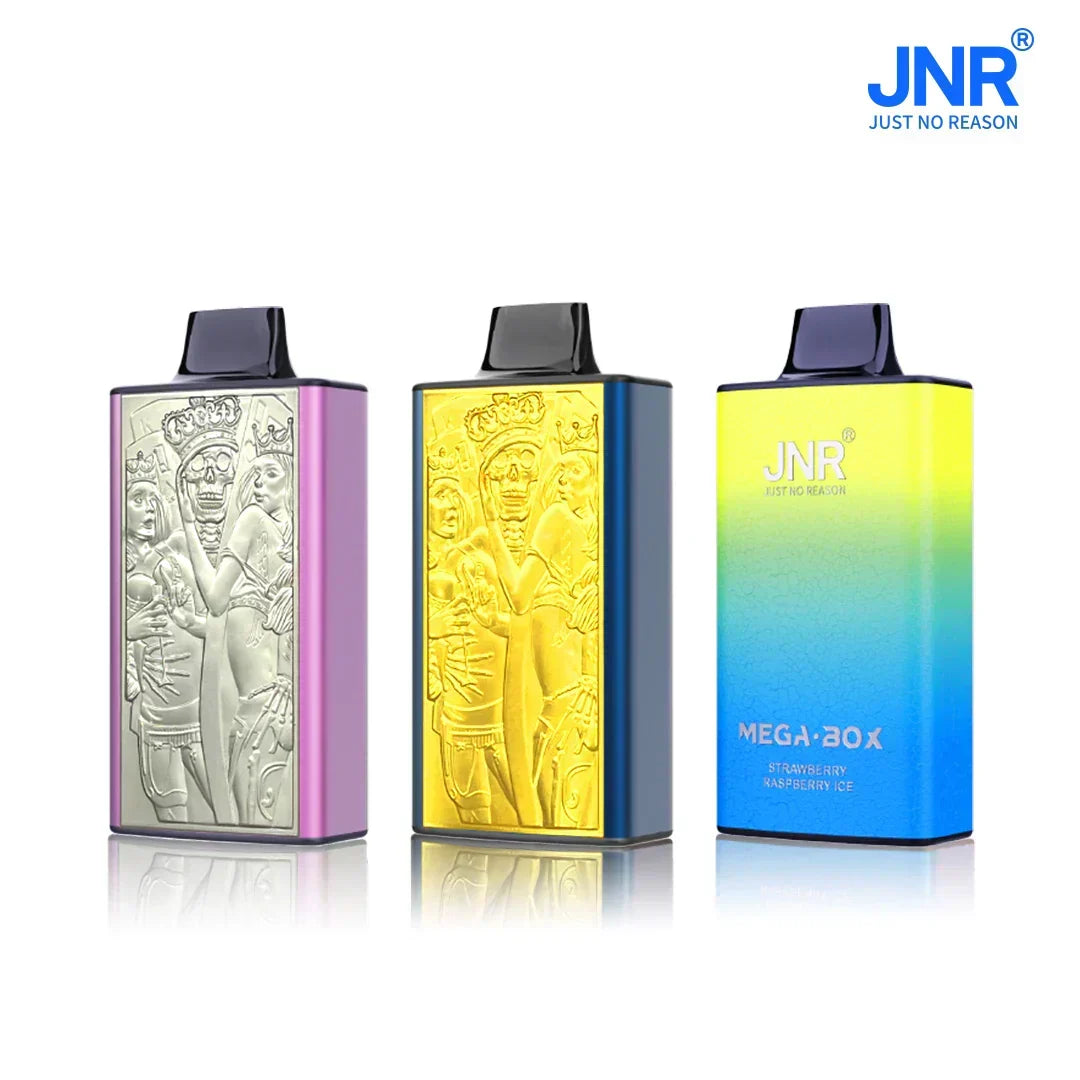 JNR Mega Box 25000 Puffs Prefilled Vape Pod Kit - Box of 10