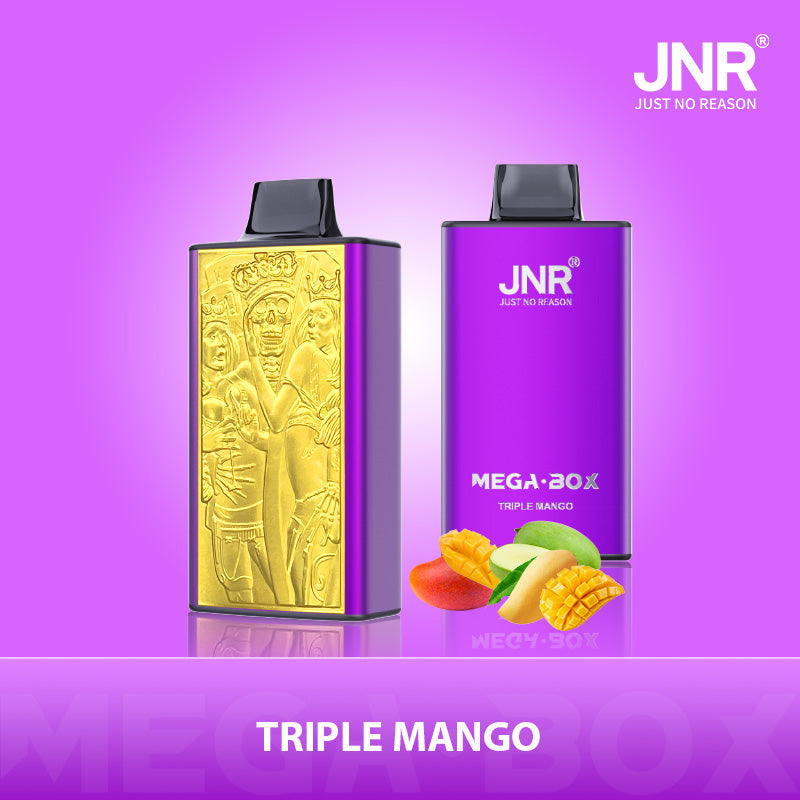 JNR Mega Box 25000 Puffs Prefilled Vape Pod Kit - Box of 10