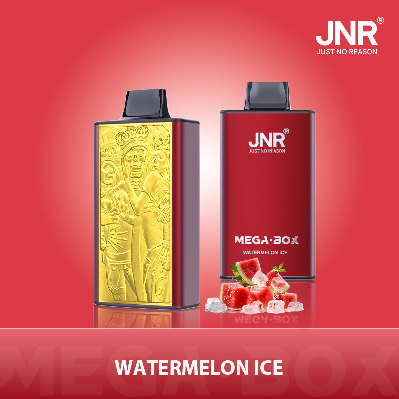 JNR Mega Box 25000 Puffs Prefilled Vape Pod Kit - Box of 10