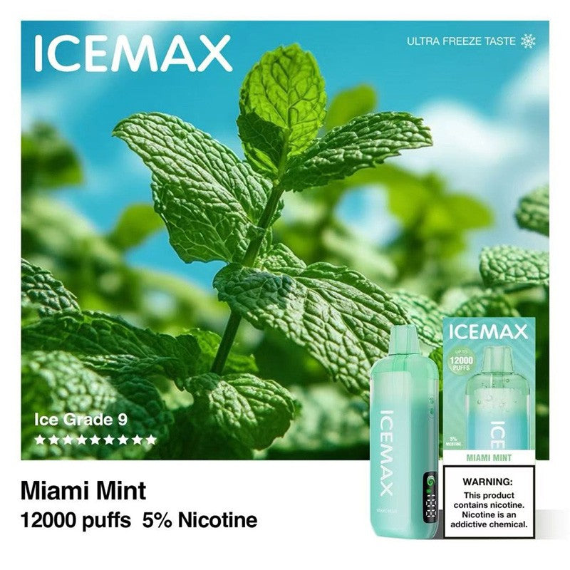 Icemax 12K Disposable Vape 10ml 3%