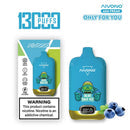 AIVON0 13000 Puffs Disposable Vape  20ml 500mAh 10 Flavors