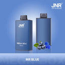 JNR Mega Box 25000 Puffs Disposable Vape 30ml 850mAh 20 Flavors