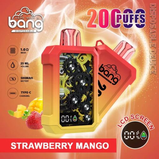 Bang Vape 20000 Züge Großhandel Elektronische Zigarette Vape Bang King 20K Einweg-Vape