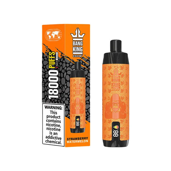 JNR Shisha 12000 Puffs Disposable Vape 24ml 750mah 10 Flavors