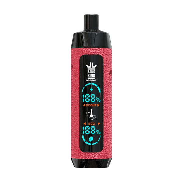 JNR Shisha 12000 Puffs Disposable Vape 24ml 750mah 10 Flavors