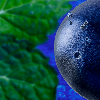 New RELX Pod (Autoship)