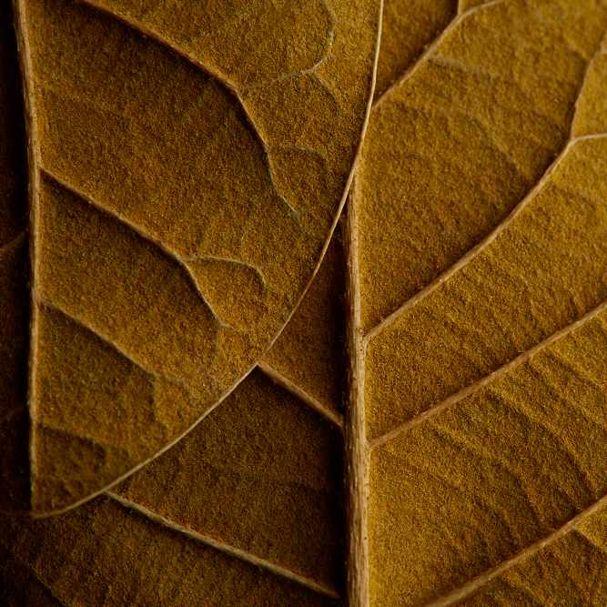 New RELX Pod (Autoship)