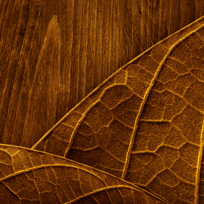 New RELX Pod (Autoship)