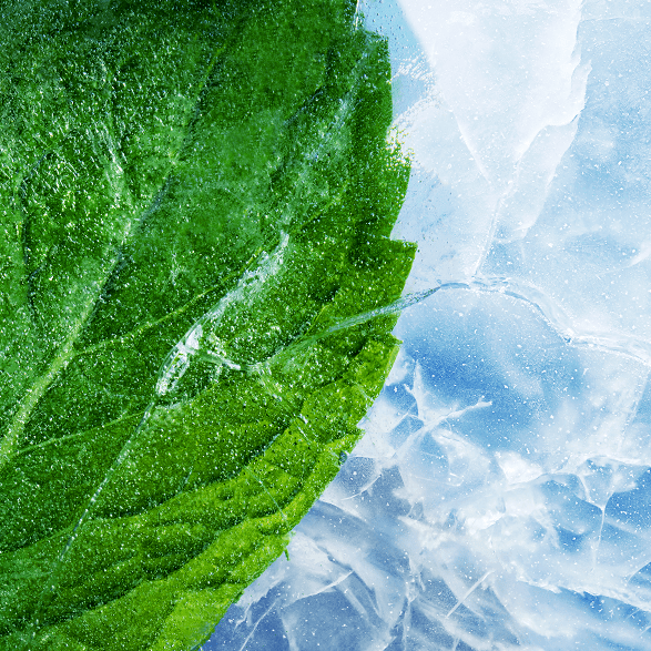 New RELX Pod Pro (Autoship)