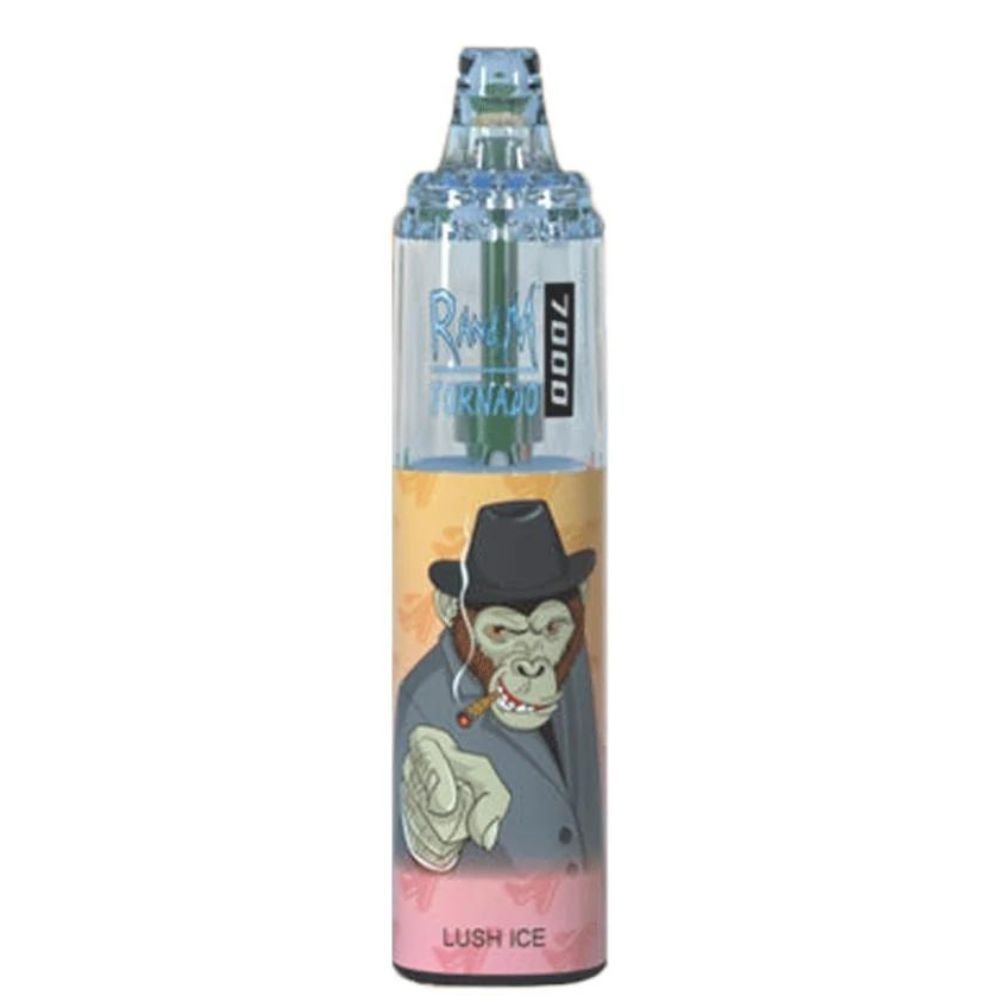 RandM Tornado 7000 Puff Prefilled Vape Pod Kit - Box of 10