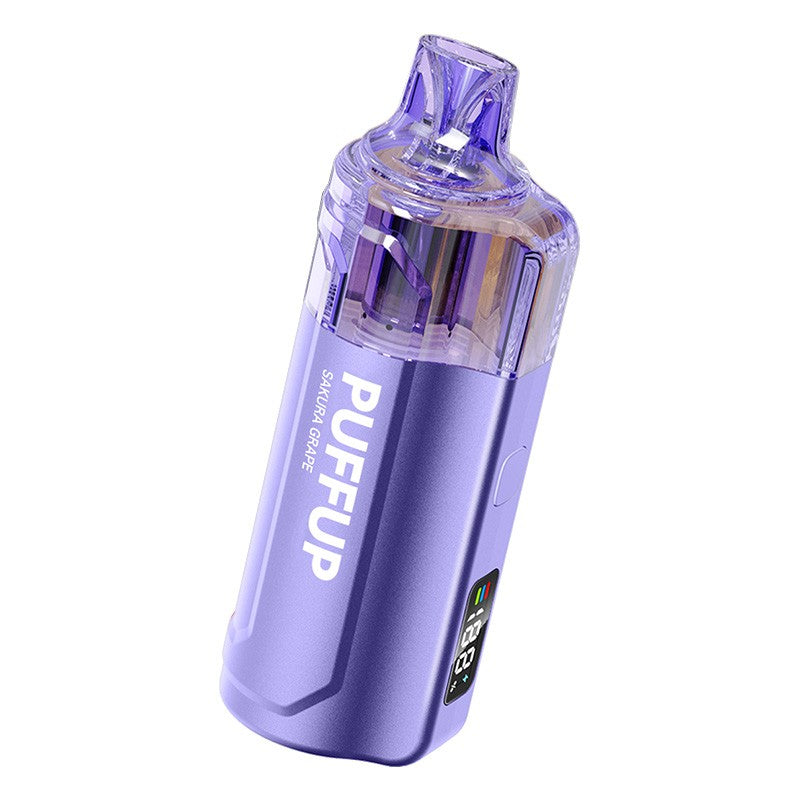 Puffup 25000 Puffs Disposable Vape 15ml 5%