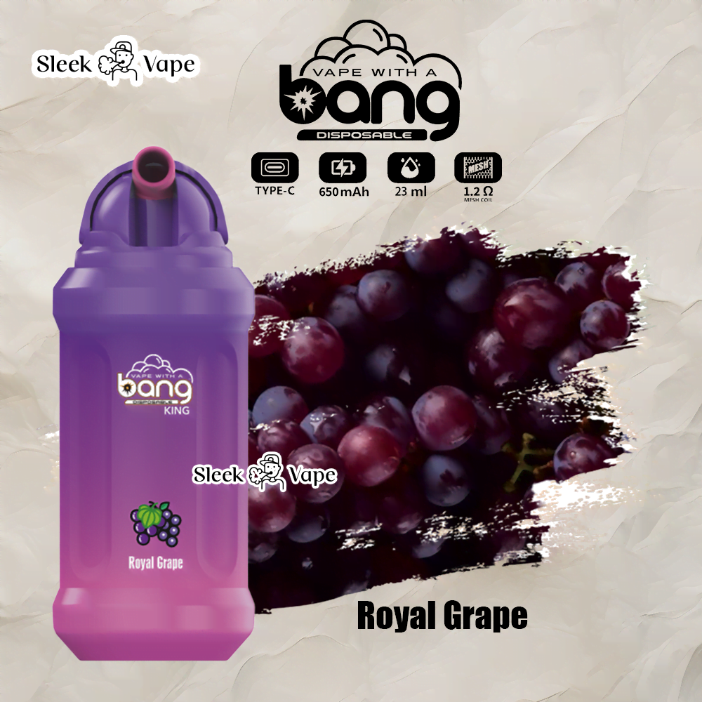 Bang King 12000 Puffs Disposable Vape(0% to 5% Nicotine)- 23ml E-Liquid. 850mAh Battery 20 Flavors
