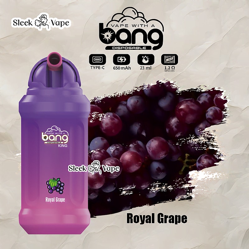 Bang King 12000 Puffs Disposable Vape(0% to 5% Nicotine)- 23ml E-Liquid. 850mAh Battery 20 Flavors