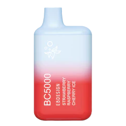 BC5000 Disposable Vape by EBCreate 5000 Puffs