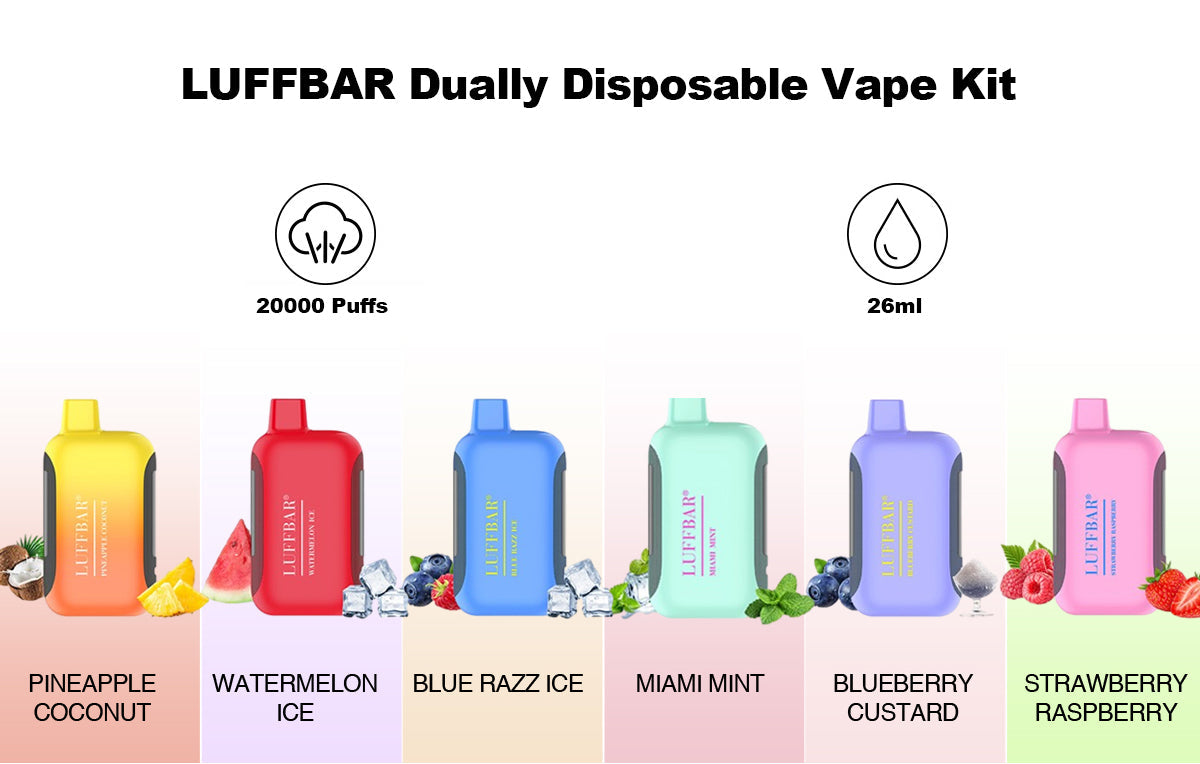 LUFFBAR Dually 20000 Züge Einweg-E-Zigarette Großhandel 