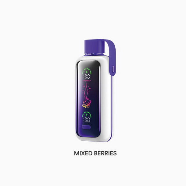 Vozol Star 20000 Vape Kit Rechargeable